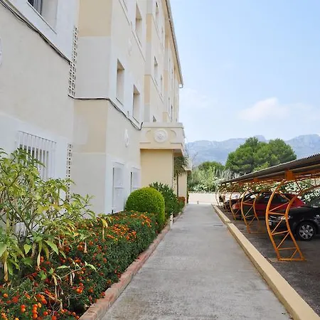 Rosas Denia